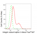 LifeSab™ KD-Validated ITGAV Rabbit mAb (20 μl)