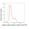 KD-Validated ITGAV Rabbit mAb (20 μl)