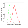 KD-Validated DDB1 Rabbit mAb (20 μl)