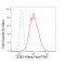 KD-Validated DDB1 Rabbit mAb (20 μl)
