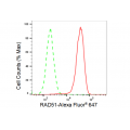 LifeSab™ KD-Validated RAD51 Rabbit mAb (20 μl)