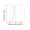 KD-Validated CASP3 Rabbit mAb (20 μl)