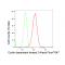 KD-Validated CDK2 Rabbit mAb (20 μl)