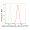 KD-Validated MDH2 Rabbit mAb (20 μl)