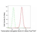 KD-Validated TCEA1 Rabbit mAb (20 μl)