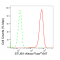 KD-Validated STUB1 Rabbit mAb (20 μl)