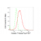 KD-Validated K7 Rabbit mAb (20 μl)
