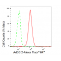LifeSab™ KD-Validated AdSS 2 Rabbit mAb (20 μl)