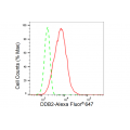 KD-Validated DDB2 Rabbit mAb (20 μl)