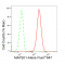KD-Validated MAP2K1 Rabbit mAb (20 μl)