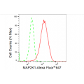 KD-Validated MAP2K1 Rabbit mAb (20 μl)