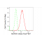 KD-Validated MAP2K1 Rabbit mAb (20 μl)