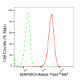 KD-Validated MAP2K3 Rabbit mAb (20 μl)