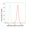 KD-Validated MAP2K3 Rabbit mAb (20 μl)