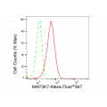 KD-Validated MAP3K7 Rabbit mAb (20 μl)