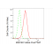 KD-Validated MAP3K7 Rabbit mAb (20 μl)