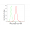 KD-Validated PAK2 Rabbit mAb (20 μl)