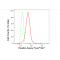 KD-Validated PXN Rabbit mAb (20 μl)