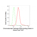 KD-Validated CHD-4 Rabbit mAb (20 μl)