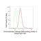 KD-Validated CHD-4 Rabbit mAb (20 μl)