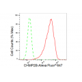 KD-Validated CHMP2B Rabbit mAb (20 μl)