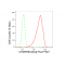 KD-Validated CHMP2B Rabbit mAb (20 μl)