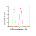 KD-Validated CC2D1A Rabbit mAb (20 μl)