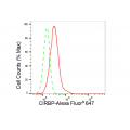 KD-Validated CIRBP Rabbit mAb (20 μl)