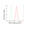 KD-Validated AP2S1 Rabbit mAb (20 μl)