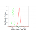 KD-Validated ACSL4 Rabbit mAb (20 μl)