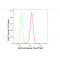 KD-Validated ACSL4 Rabbit mAb (20 μl)