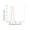KD-Validated CD58 Rabbit mAb (20 μl)
