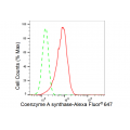 KD-Validated COASY Rabbit mAb (20 μl)