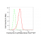 KD-Validated COASY Rabbit mAb (20 μl)