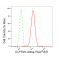 KD-Validated CLPTM1 Rabbit mAb (20 μl)