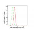 KD-Validated BAG1 Rabbit mAb (20 μl)
