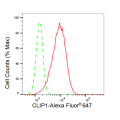 KD-Validated CLIP1 Rabbit mAb (20 μl)
