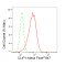 KD-Validated CLIP1 Rabbit mAb (20 μl)