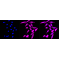 KD-Validated CLIP1 Rabbit mAb (20 μl)