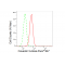 KD-Validated CAV3 Rabbit mAb (20 μl)