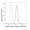 KD-Validated CTNND1 Rabbit mAb (20 μl)
