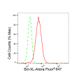 KD-Validated BCL2L1 Rabbit mAb (20 μl)