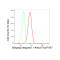 KD-Validated BIN1 Rabbit mAb (20 μl)