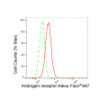 KD-Validated AR Rabbit mAb (20 μl)