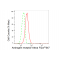 KD-Validated AR Rabbit mAb (20 μl)