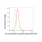 KD-Validated AHR Rabbit mAb (20 μl)