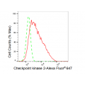 KD-Validated CHEK2 Rabbit mAb (20 μl)