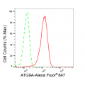 KD-Validated ATG9A Rabbit mAb (20 μl)