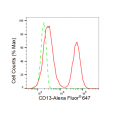 KD-Validated CD13 Rabbit mAb (20 μl)