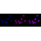 KD-Validated CD13 Rabbit mAb (20 μl)
